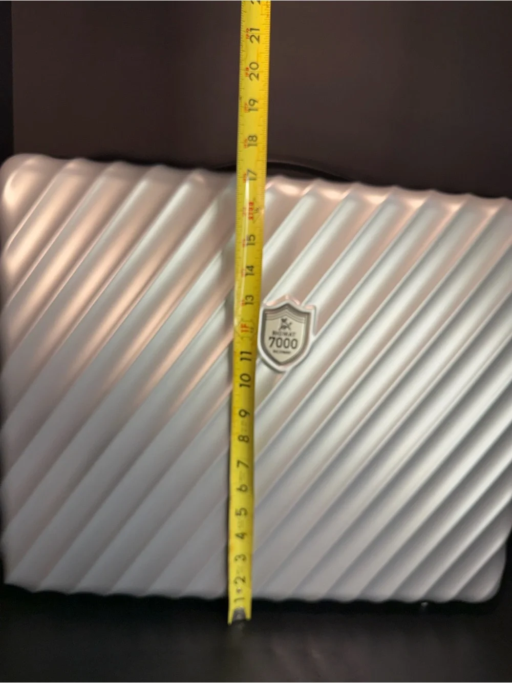Richway BioMat Mini 7000MX Replacement Hardshell Travel Case Only – Silver